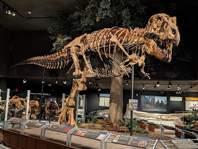Museum of the Rockies