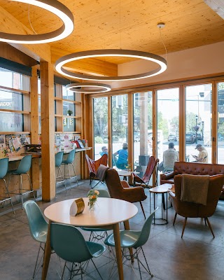 Treeline Coffee at the LARK